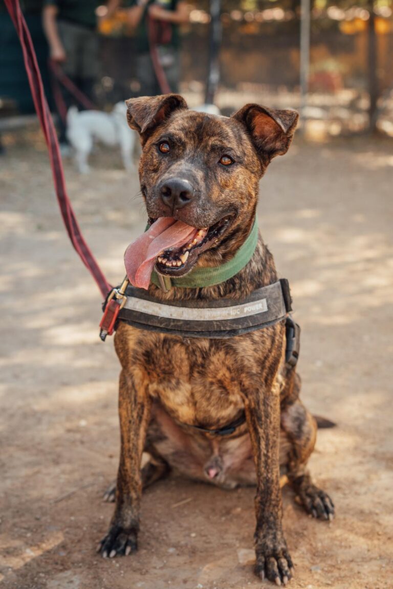 multimedia-foto90582-752-1