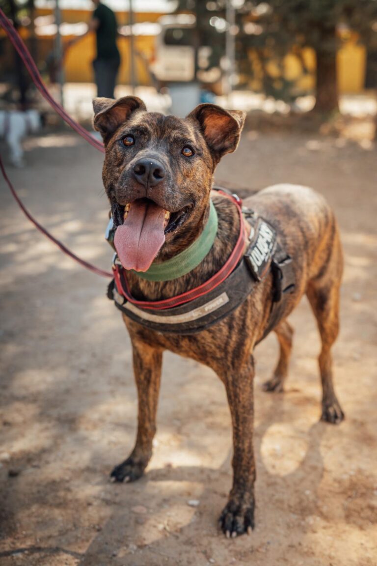 multimedia-foto90583-752-1