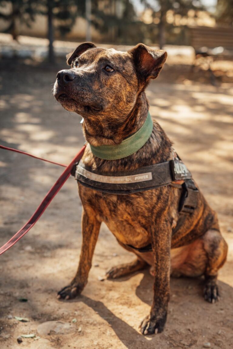 multimedia-foto90584-752-1