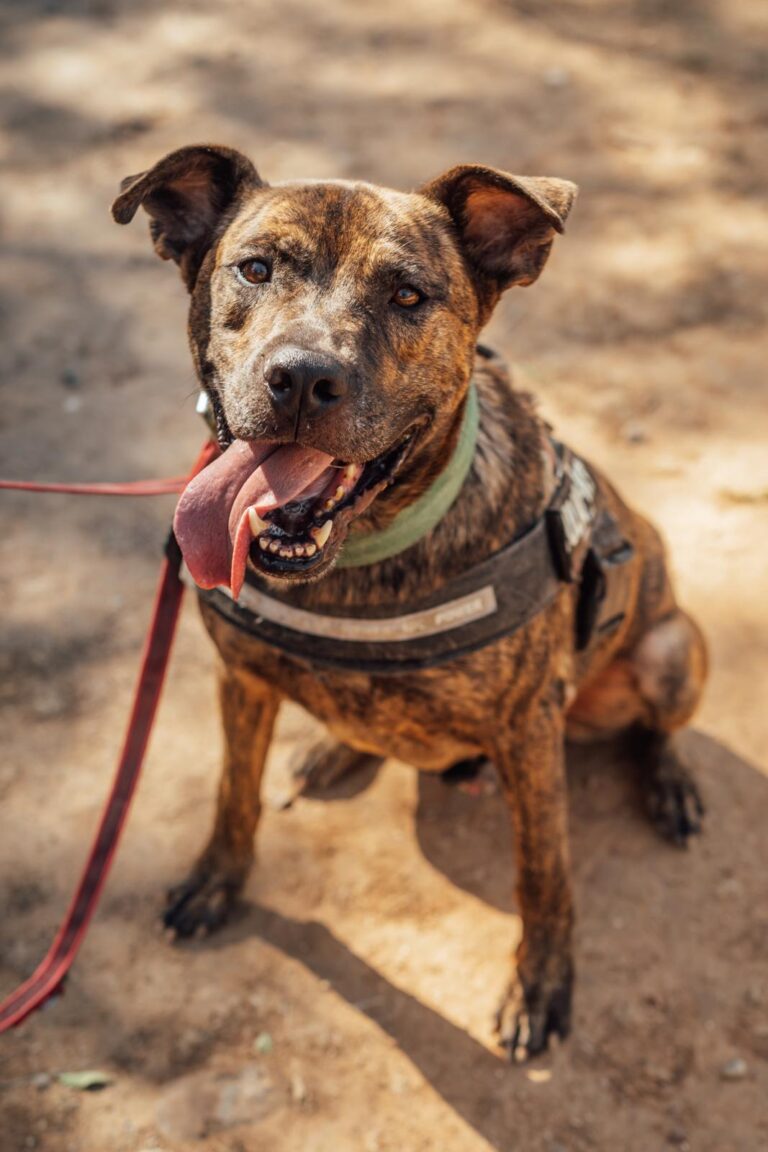 multimedia-foto90585-752-1