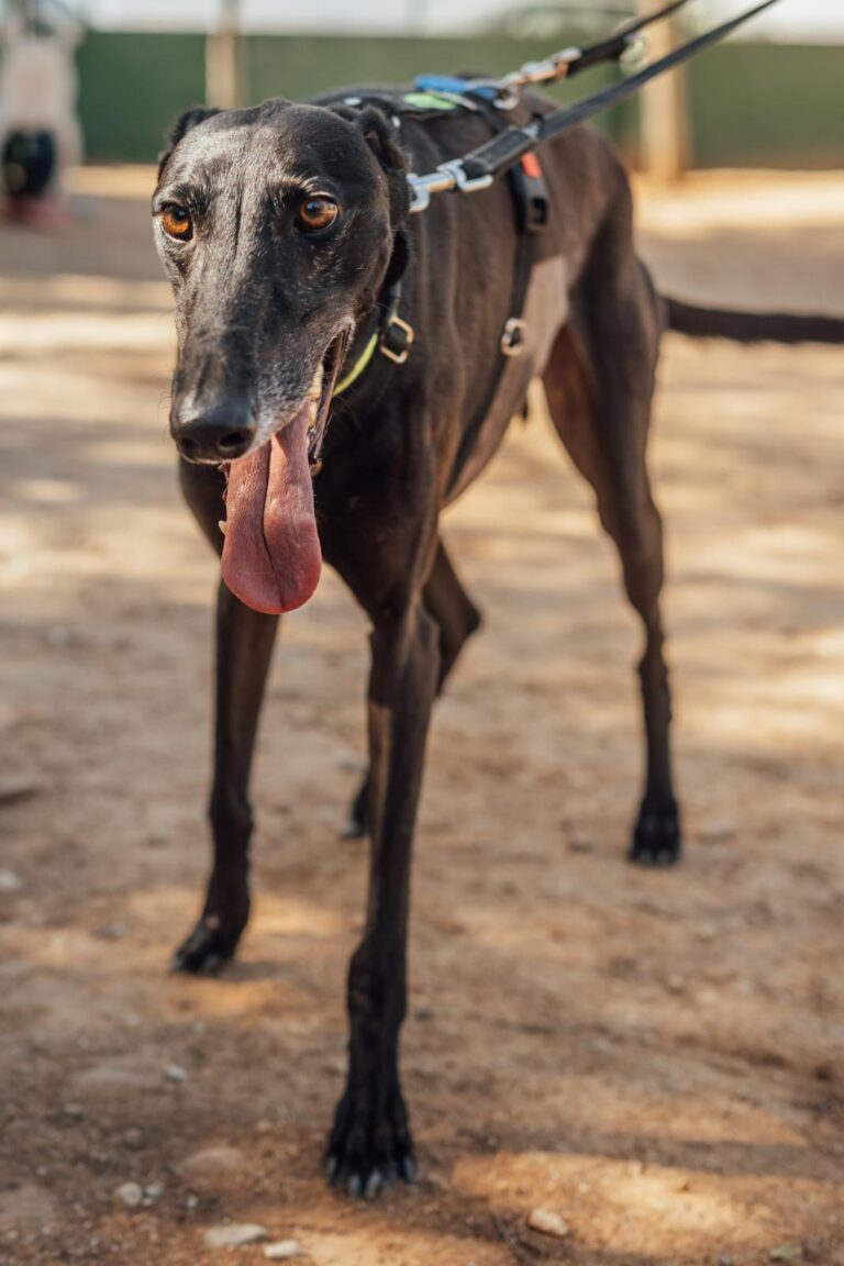 multimedia-foto90591-871-1