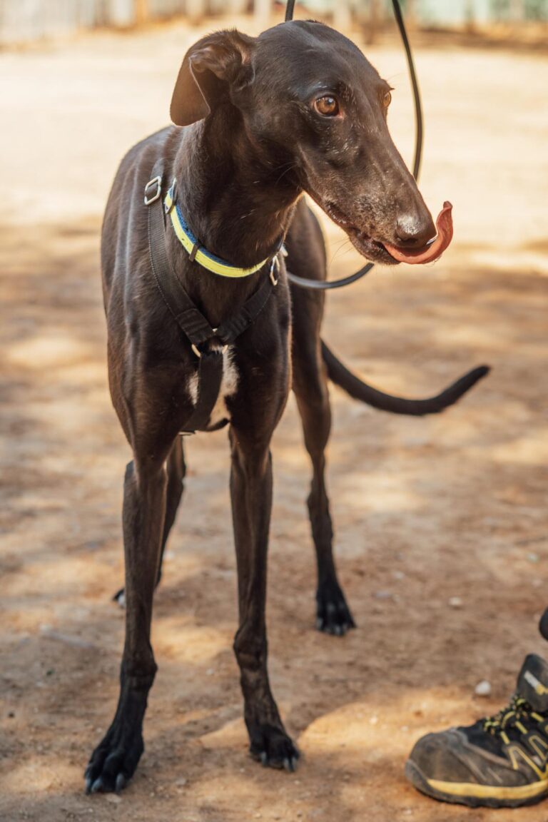 multimedia-foto90592-872-1