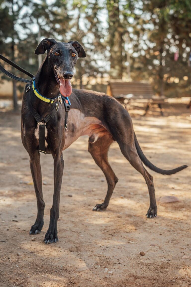 multimedia-foto90593-872-1