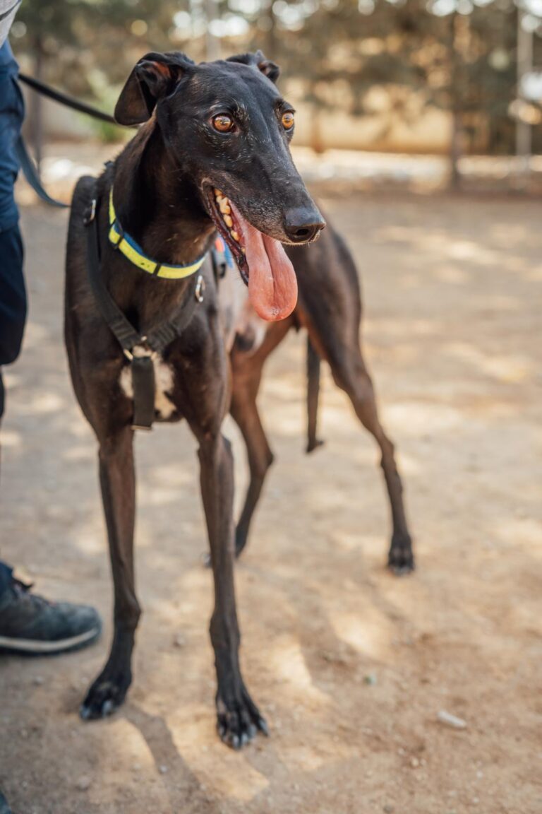 multimedia-foto90594-872-1