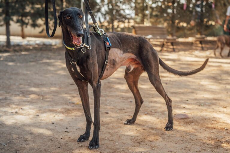 multimedia-foto90595-872-1