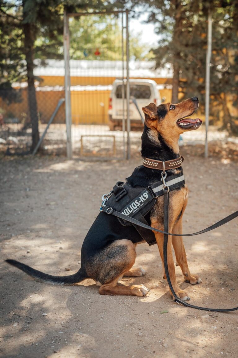 multimedia-foto90596-964-1