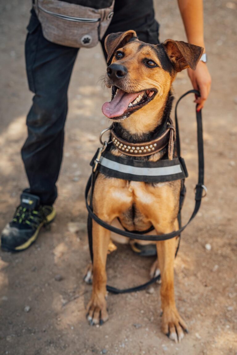 multimedia-foto90598-965-1