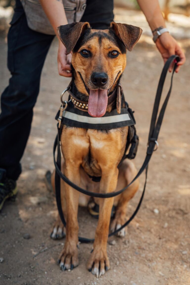 multimedia-foto90599-965-1