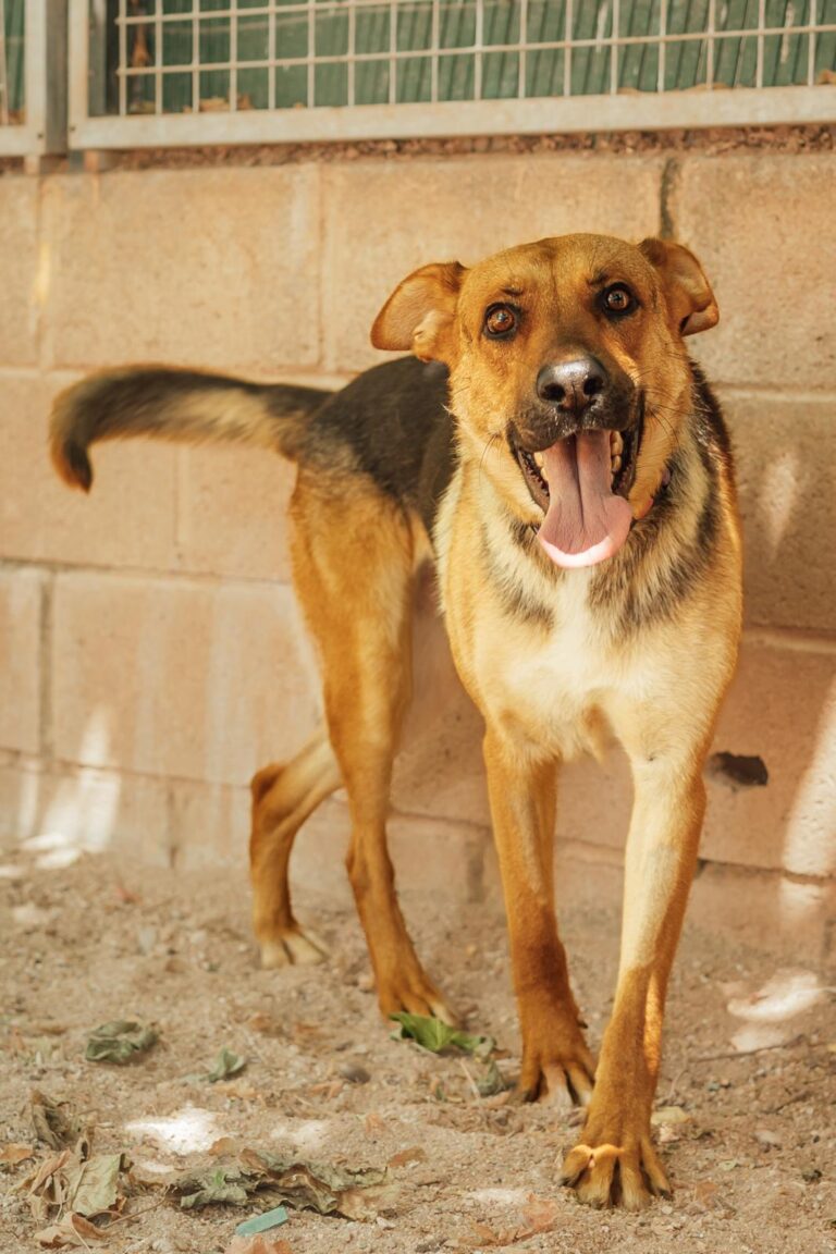 multimedia-foto90601-49-1