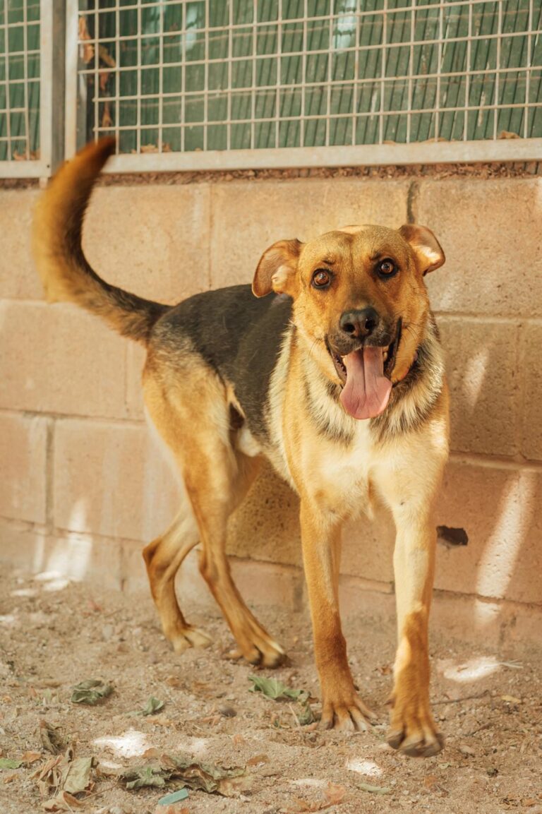 multimedia-foto90602-49-1