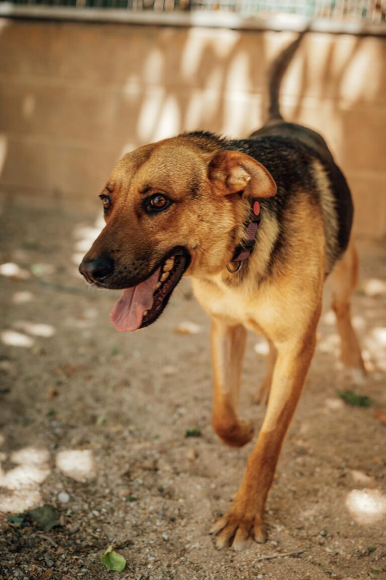 multimedia-foto90603-49-1