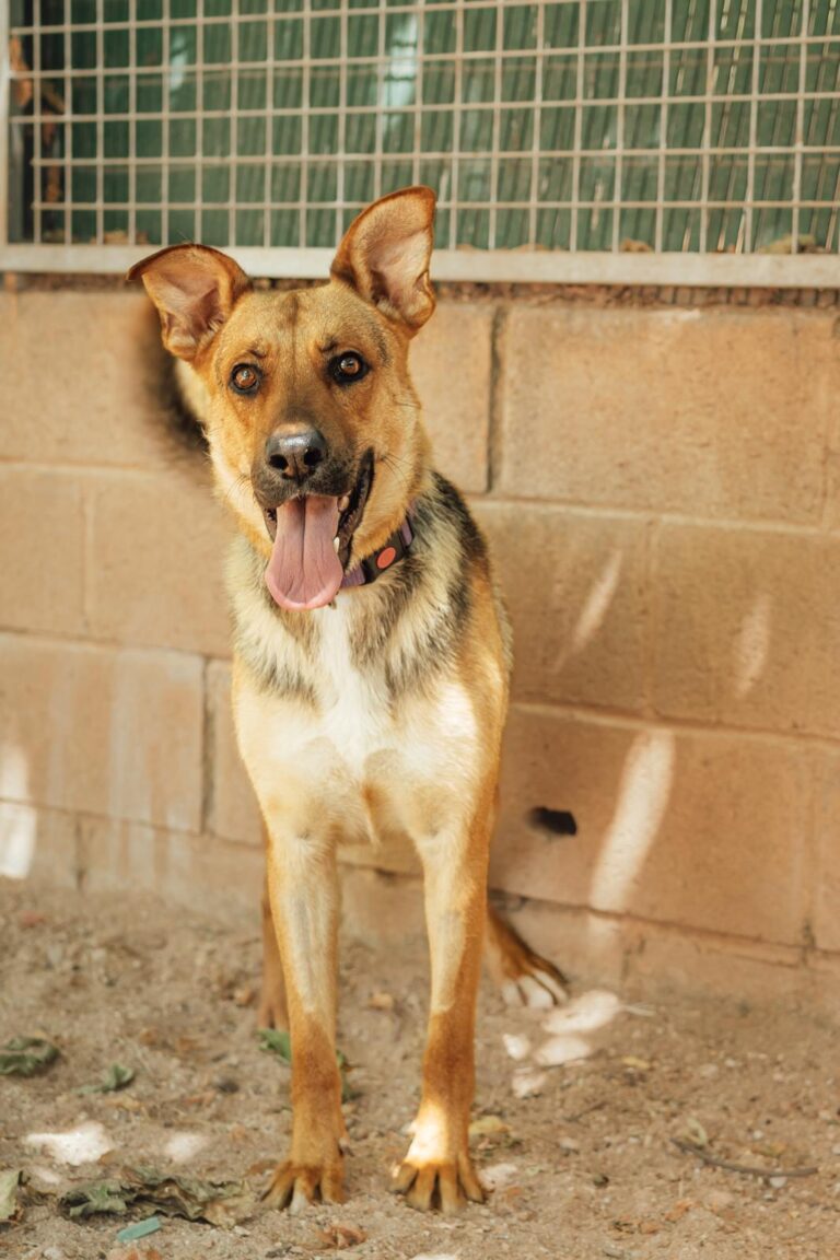 multimedia-foto90605-50-1