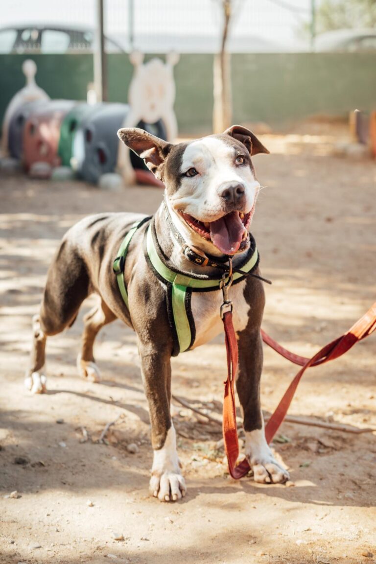 multimedia-foto90613-367-1