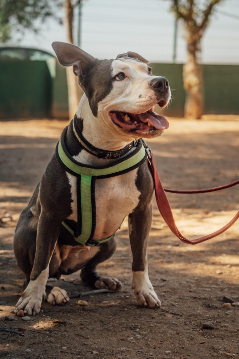 multimedia-foto90614-367-1