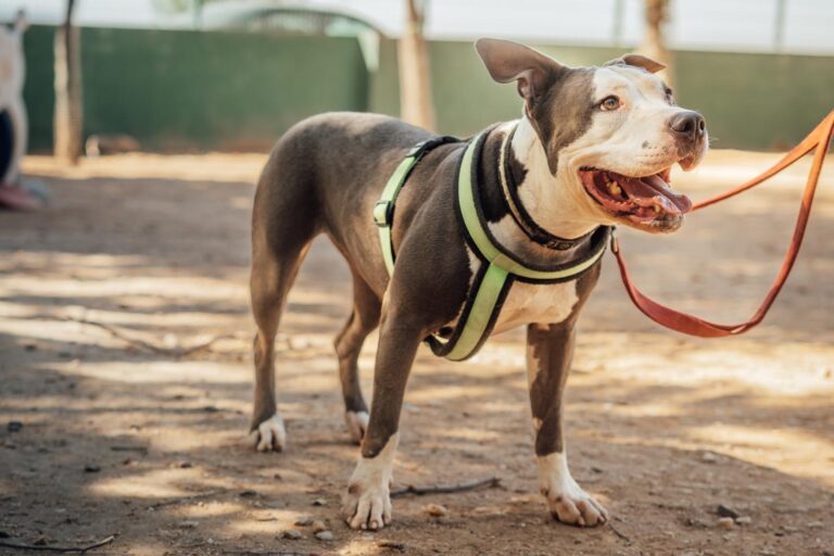 multimedia-foto90616-368-1