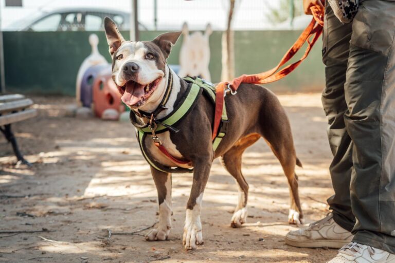 multimedia-foto90618-368-1