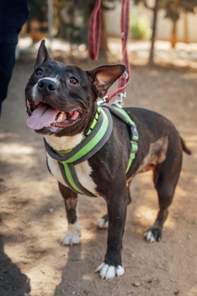 multimedia-foto90641-80-1