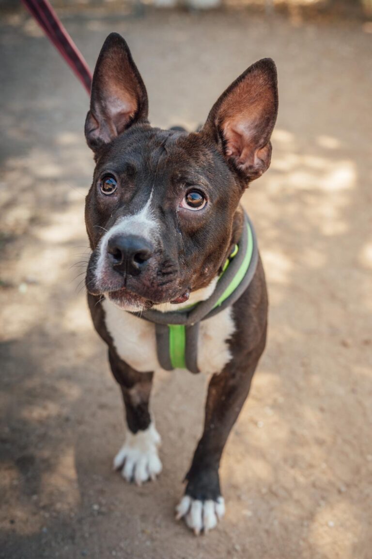 multimedia-foto90642-81-1