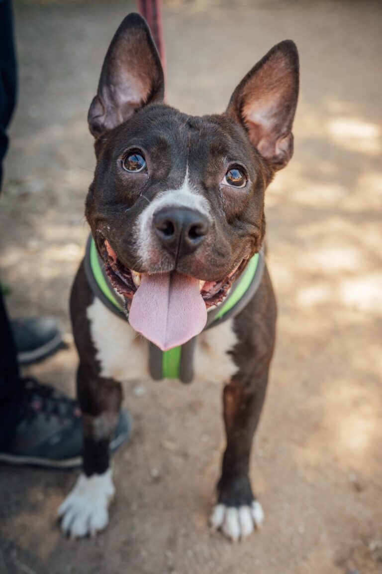 multimedia-foto90643-81-1