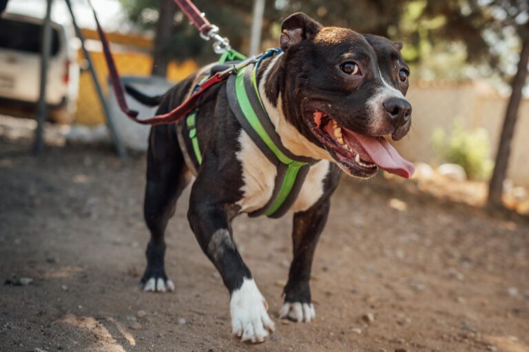 multimedia-foto90644-81-1