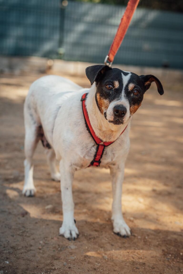 multimedia-foto90651-138-1