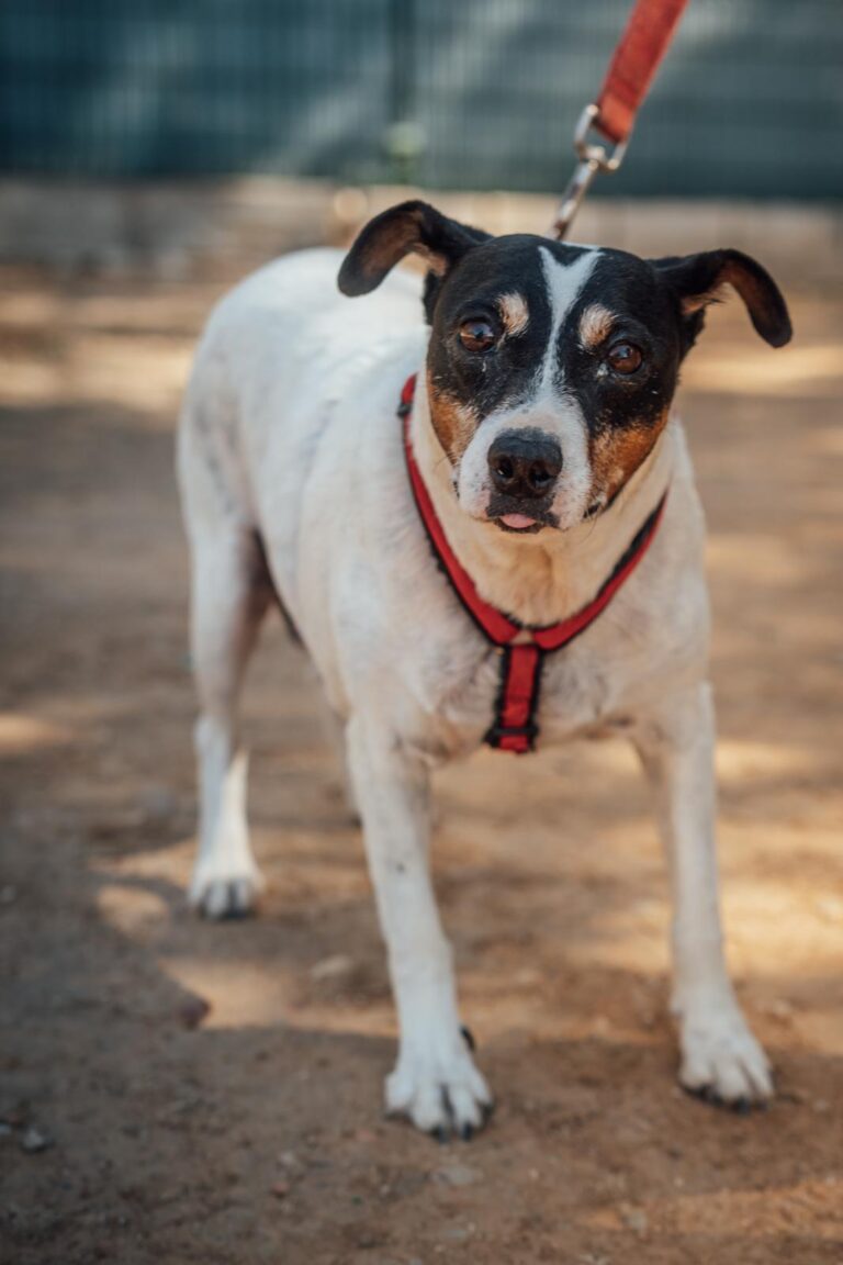 multimedia-foto90652-138-1