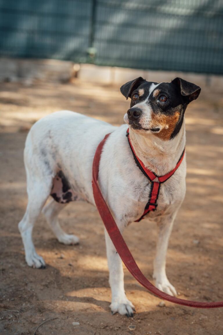 multimedia-foto90654-139-1