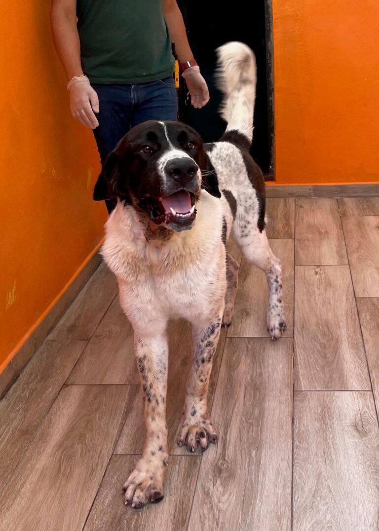 multimedia-foto90656-503-1