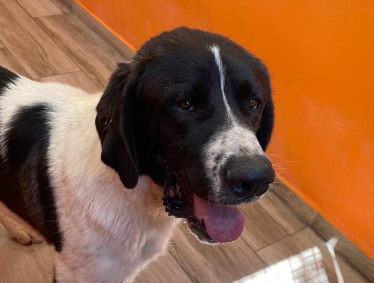 multimedia-foto90659-504-1