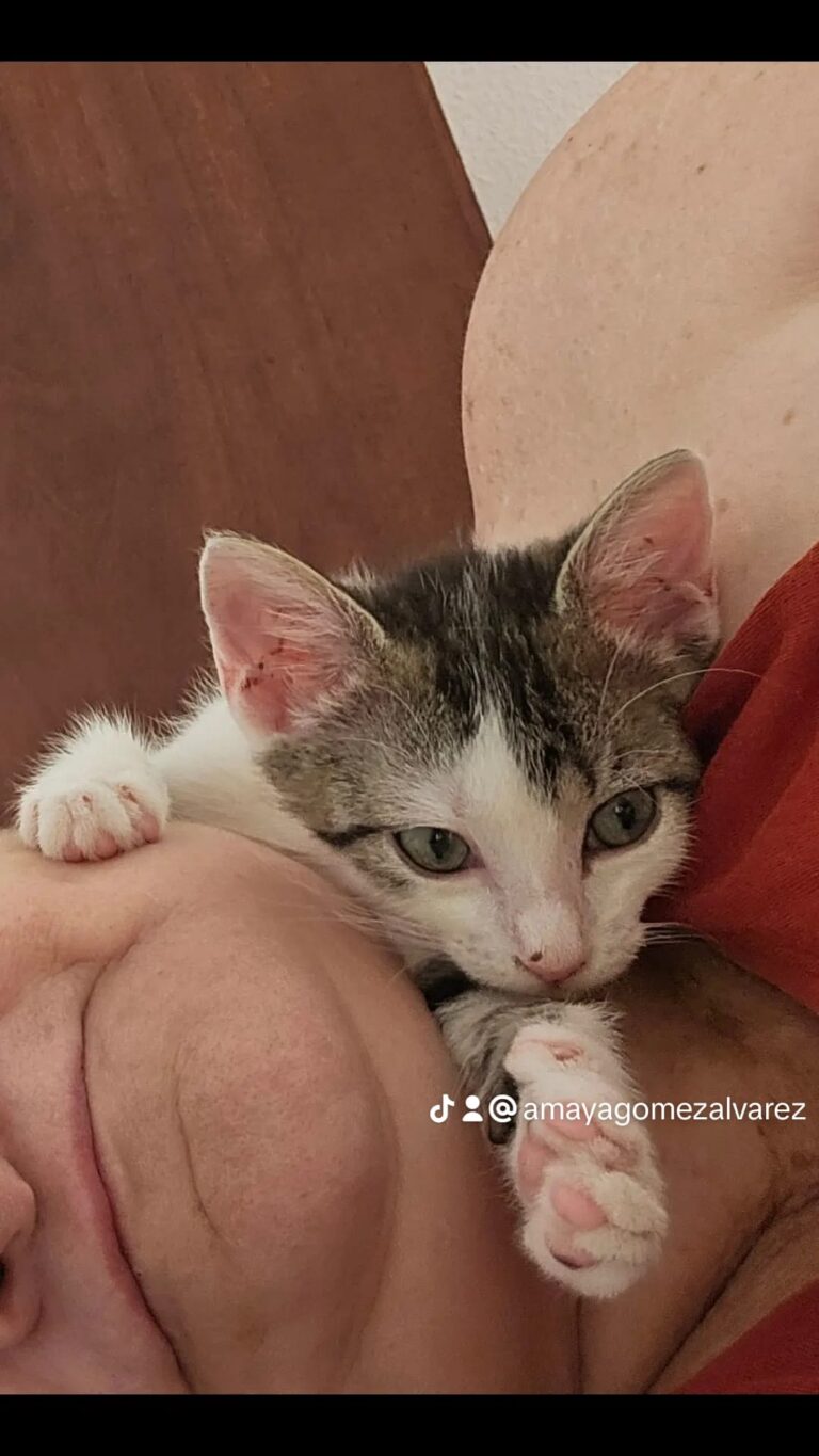 multimedia-foto90679-179-1