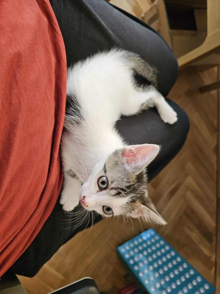 multimedia-foto90681-180-1