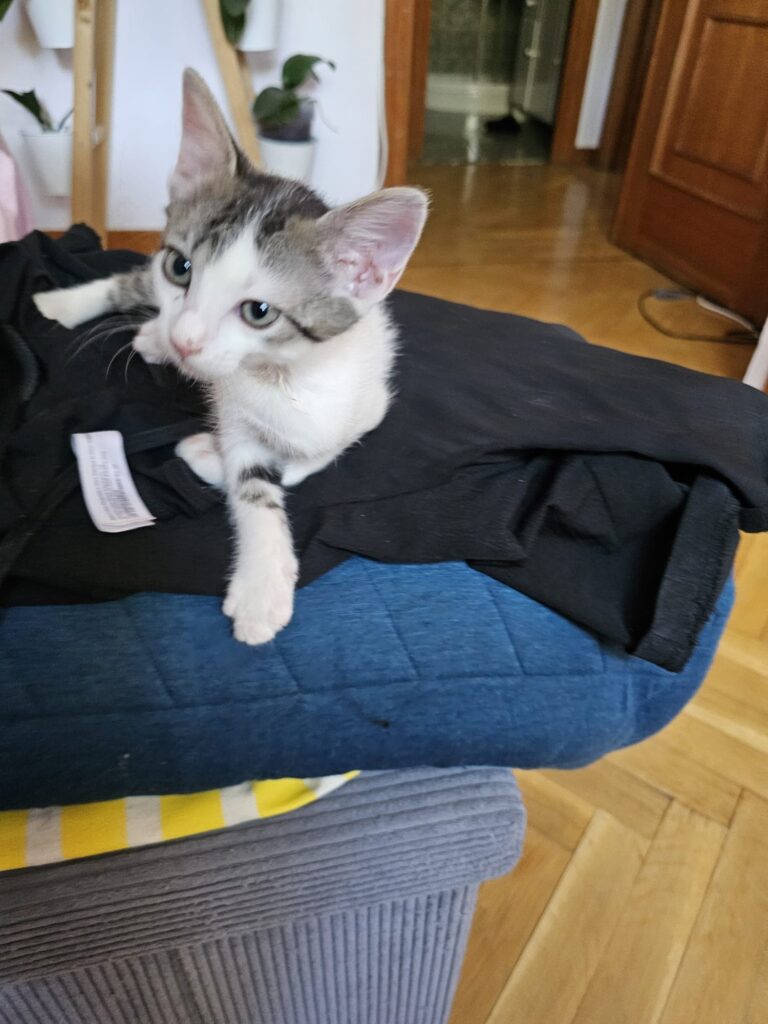 multimedia-foto90682-180-1