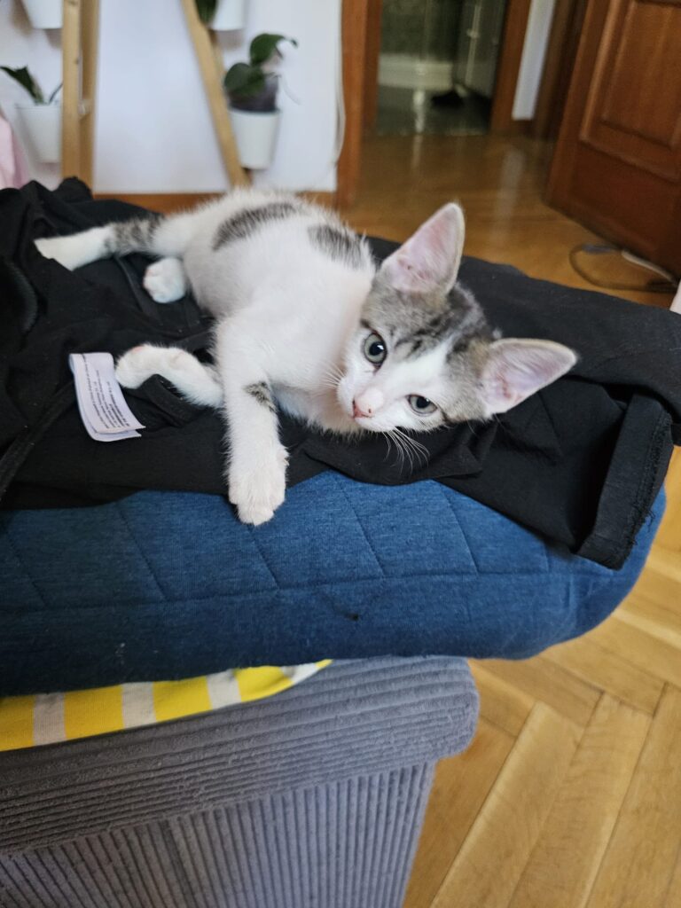 multimedia-foto90683-180-1