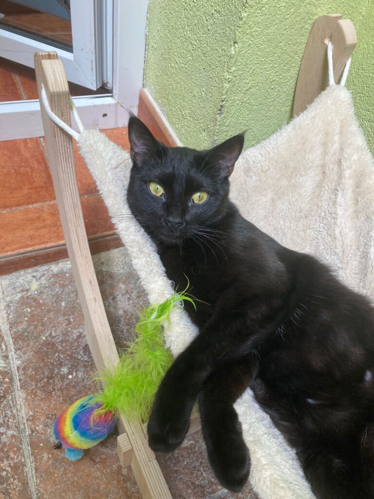 multimedia-foto90691-448-1