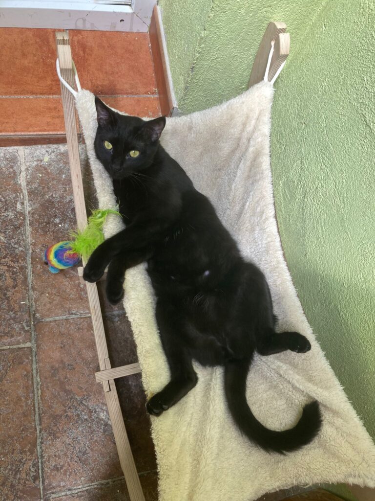 multimedia-foto90692-448-1