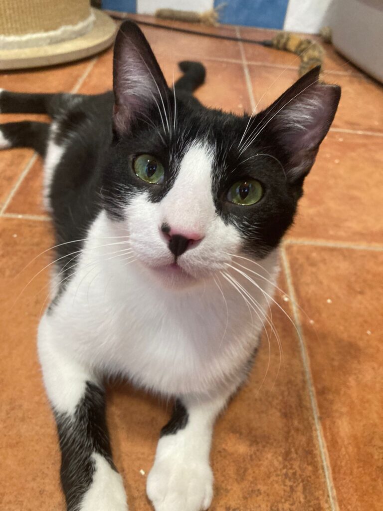 multimedia-foto90699-860-1