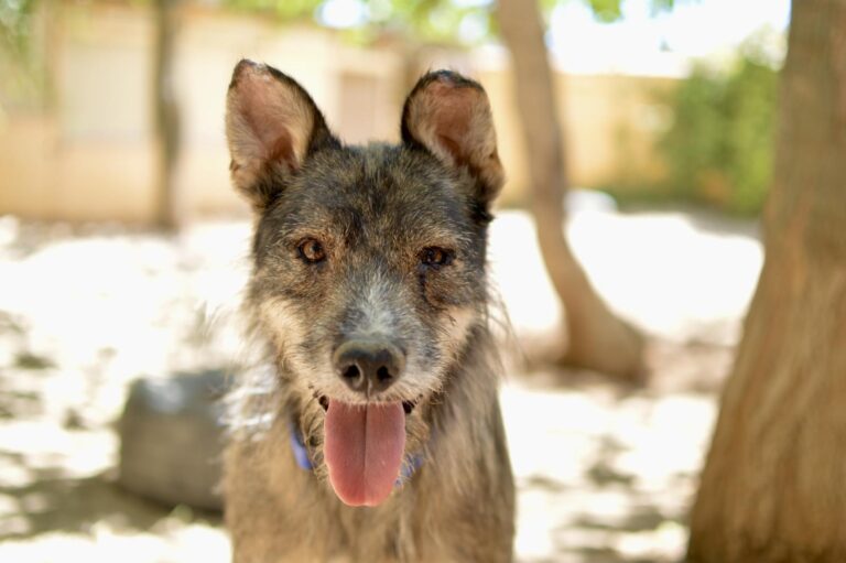 multimedia-foto90712-253-1