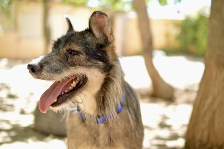 multimedia-foto90713-254-1