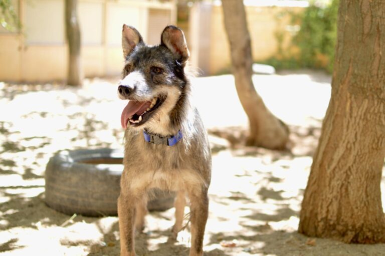 multimedia-foto90714-254-1