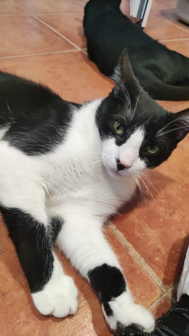 multimedia-foto90737-665-1