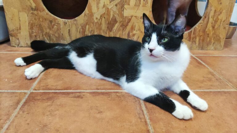 multimedia-foto90738-665-1