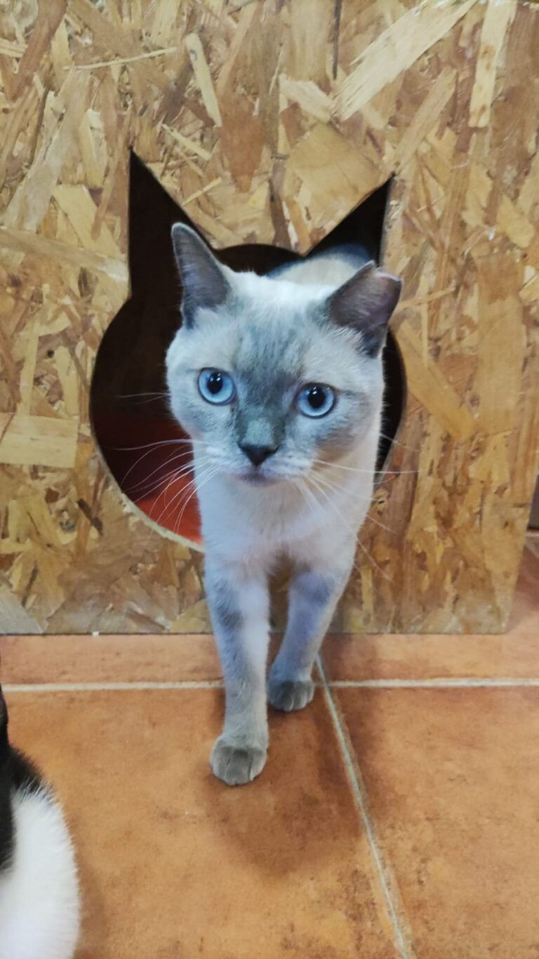 multimedia-foto90746-831-1