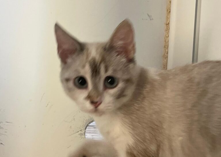 multimedia-foto90754-412-1