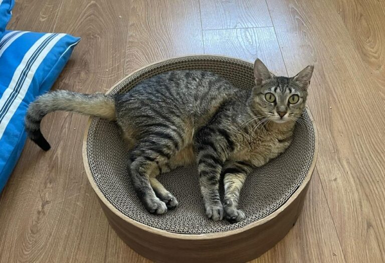 multimedia-foto90757-194-1