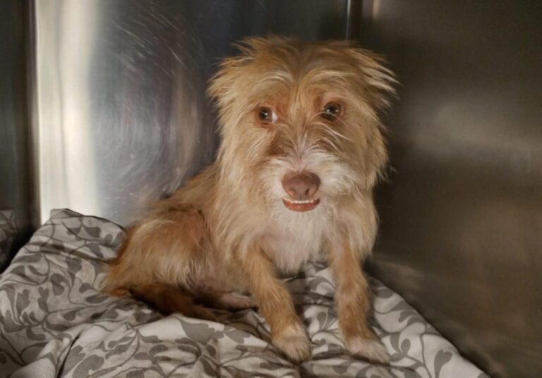 multimedia-foto90762-110-1