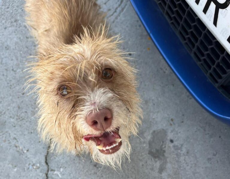 multimedia-foto90763-110-1