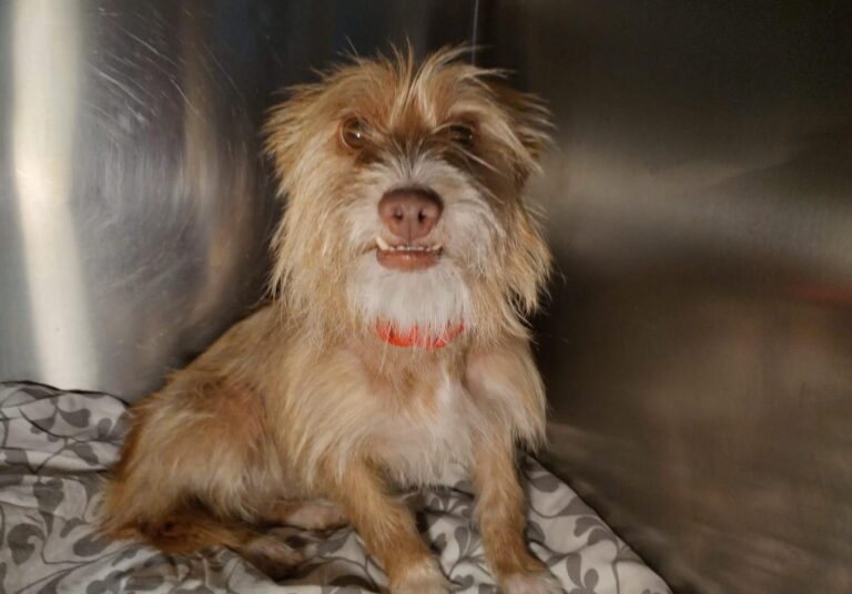 multimedia-foto90765-111-1