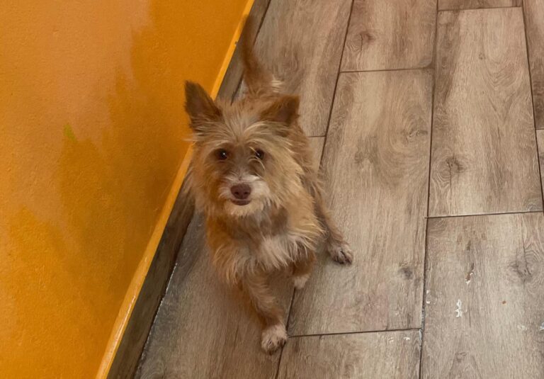 multimedia-foto90766-111-1