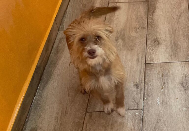 multimedia-foto90767-111-1