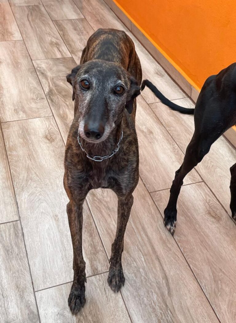 multimedia-foto90769-490-1